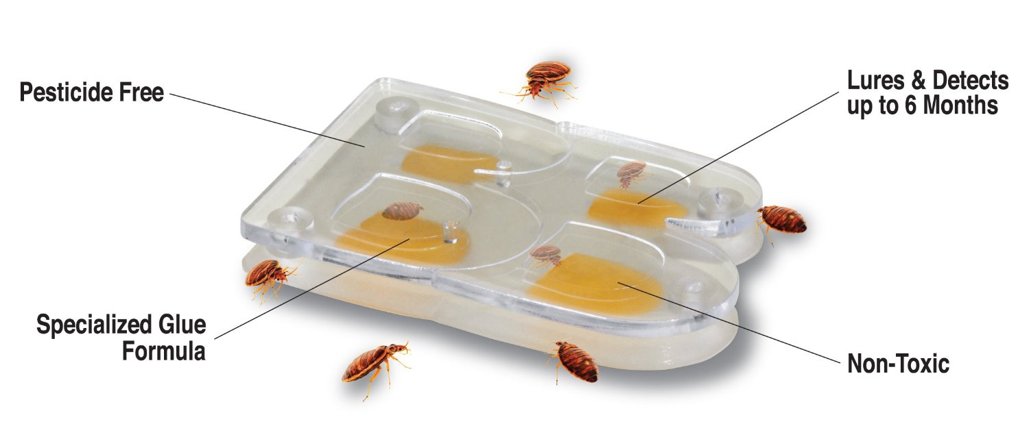 shark-tank-products-buggy-beds-bed-bug