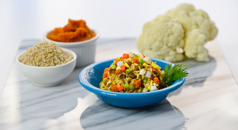 petplate_meals_beef_-brown-rice_-and-vegetables