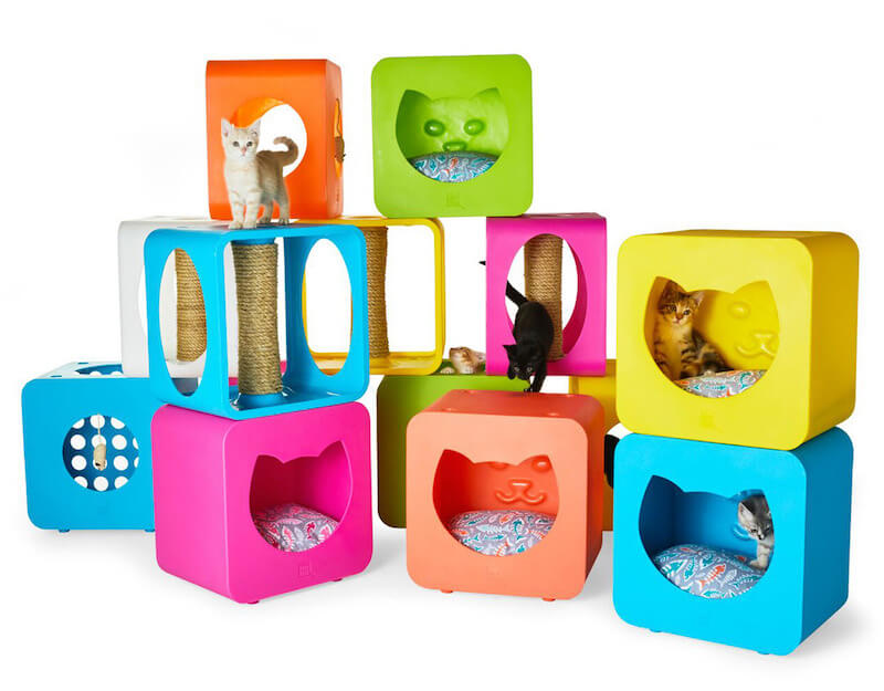 Cube cats. Cat Studio мебель для кошек. Вставка в куб для кошки. Cat Cube printout. Maxwell Cat Cube.