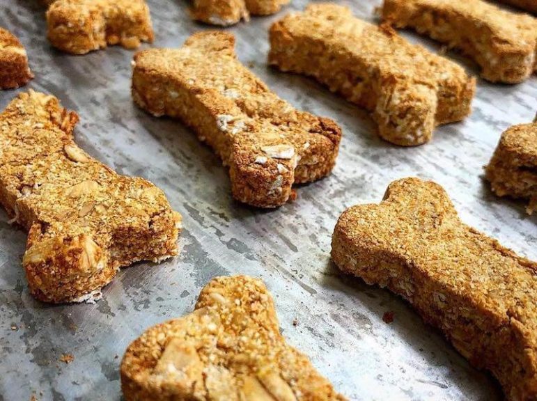 Zookies Cookies Bake At Home Dog Treats Shark Tank Season 10