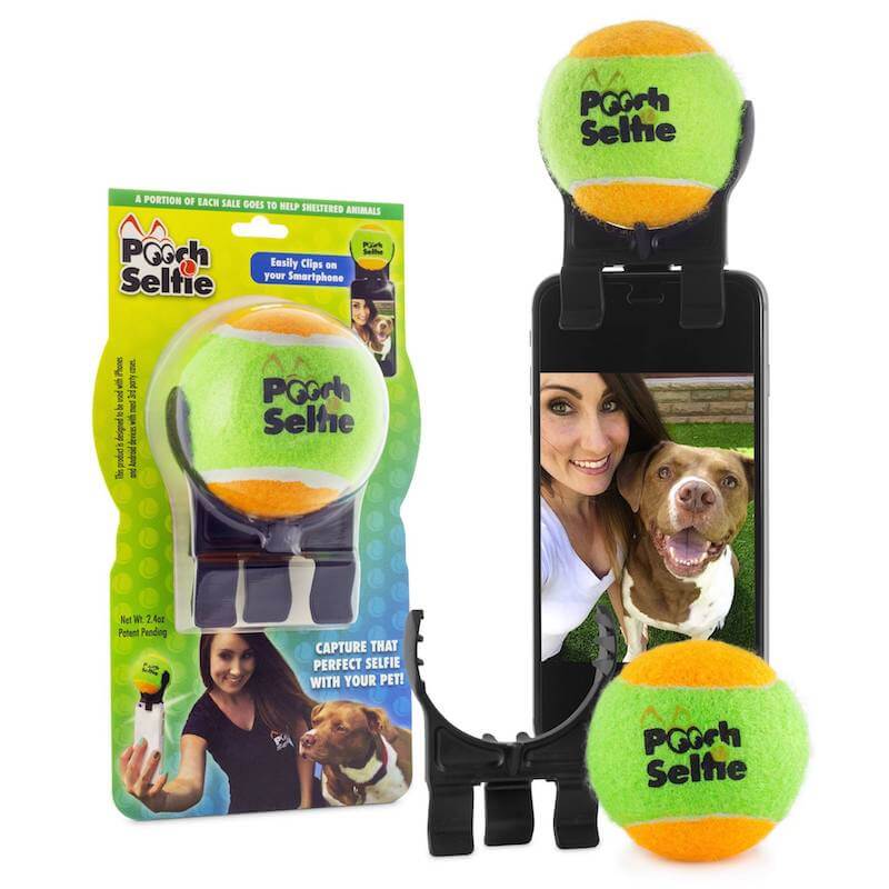 Pooch Selfie Dog Products Shark Tank 2