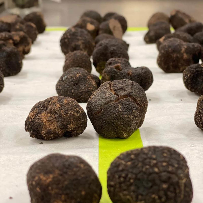 Truffle Marge Tank