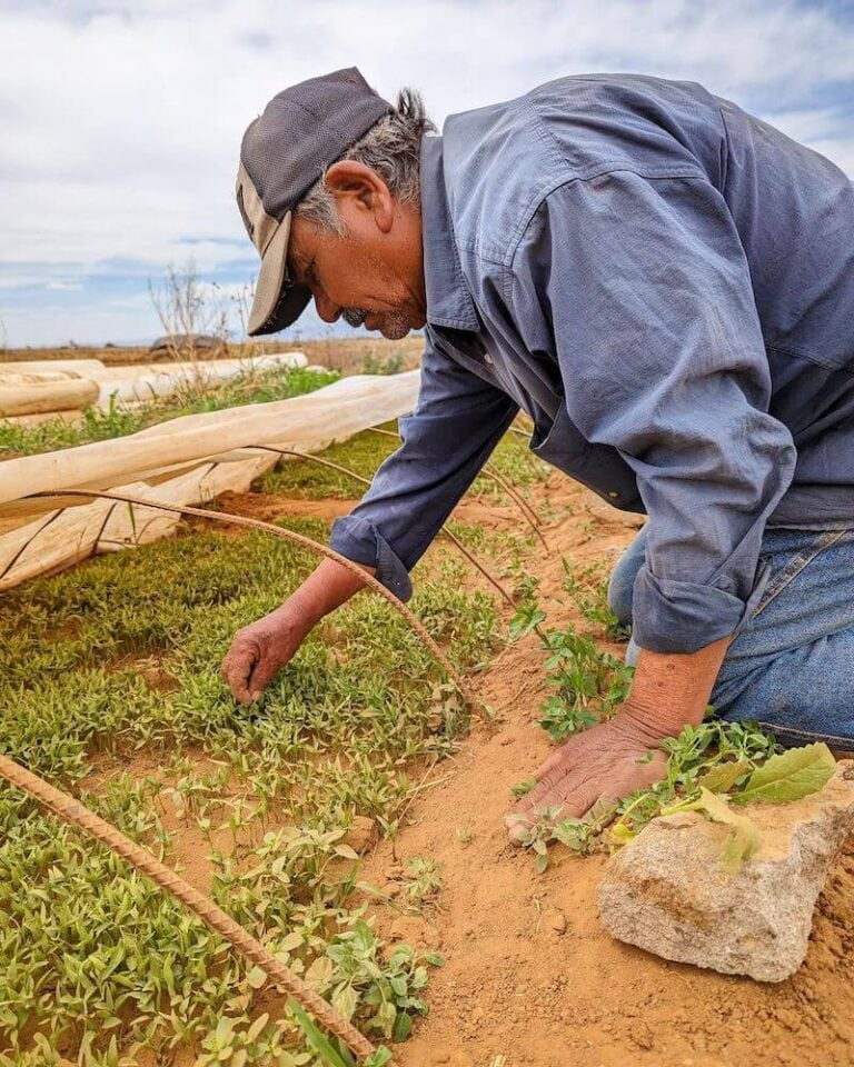 Burlap and Barrel Spices Shark Tank Season 14