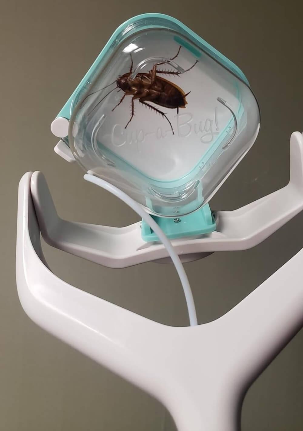 Cup-a-Bug Insect Catcher from Shark Tank Season 15