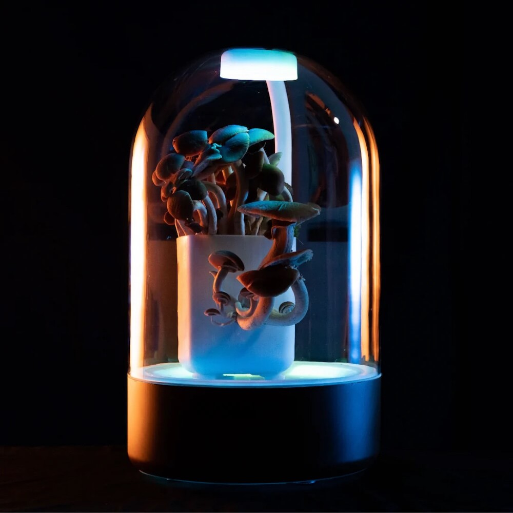 Terrashroom Mushroom Grow Chamber