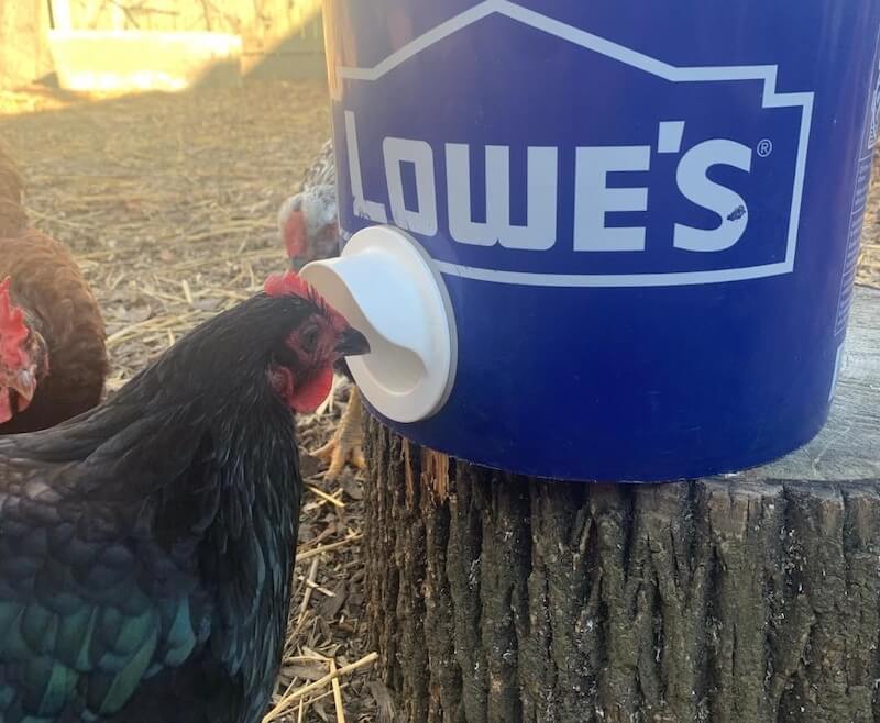 Riverbend Resources Poultry Care