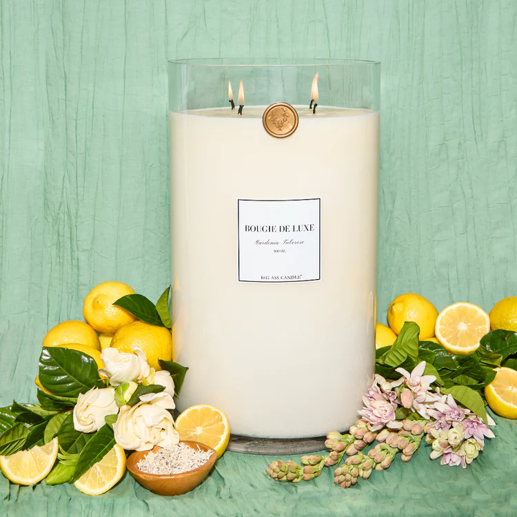 Big Ass Luxuries Candles Shark Tank 3