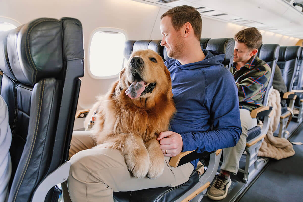 Retrievair Flights For Dogs Shark Tank 2