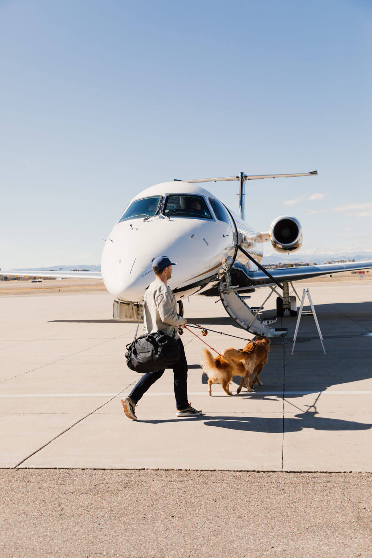 Retrievair Flights For Dogs Shark Tank 5