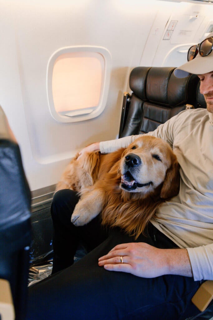 Retrievair Flights For Dogs Shark Tank 6
