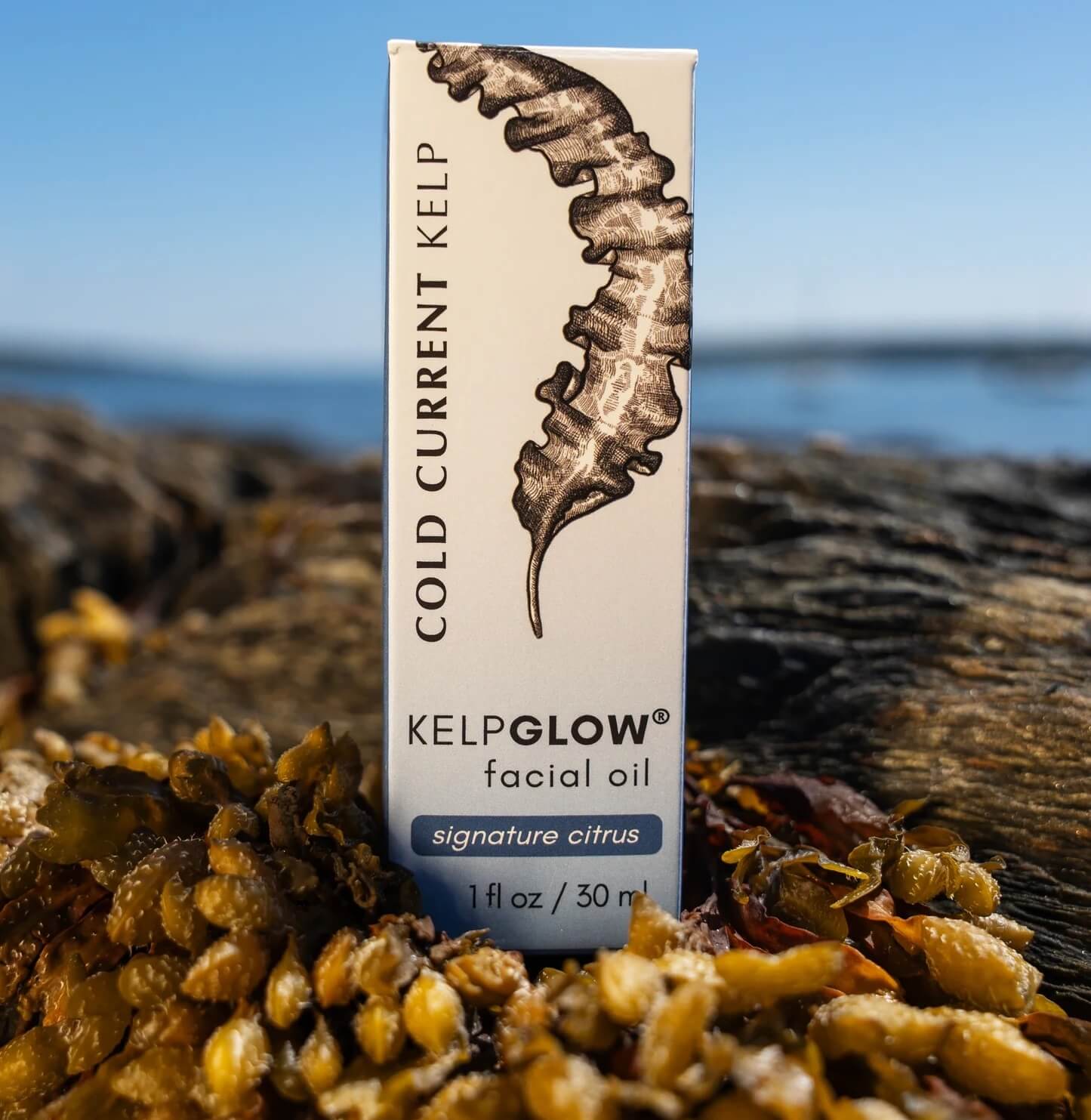 Cold Current Kelp Shark Tank 2