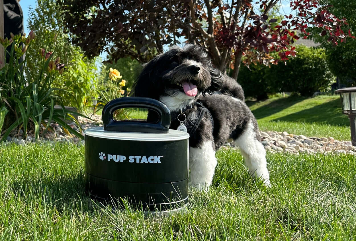 Pup Stack Shark Tank 3